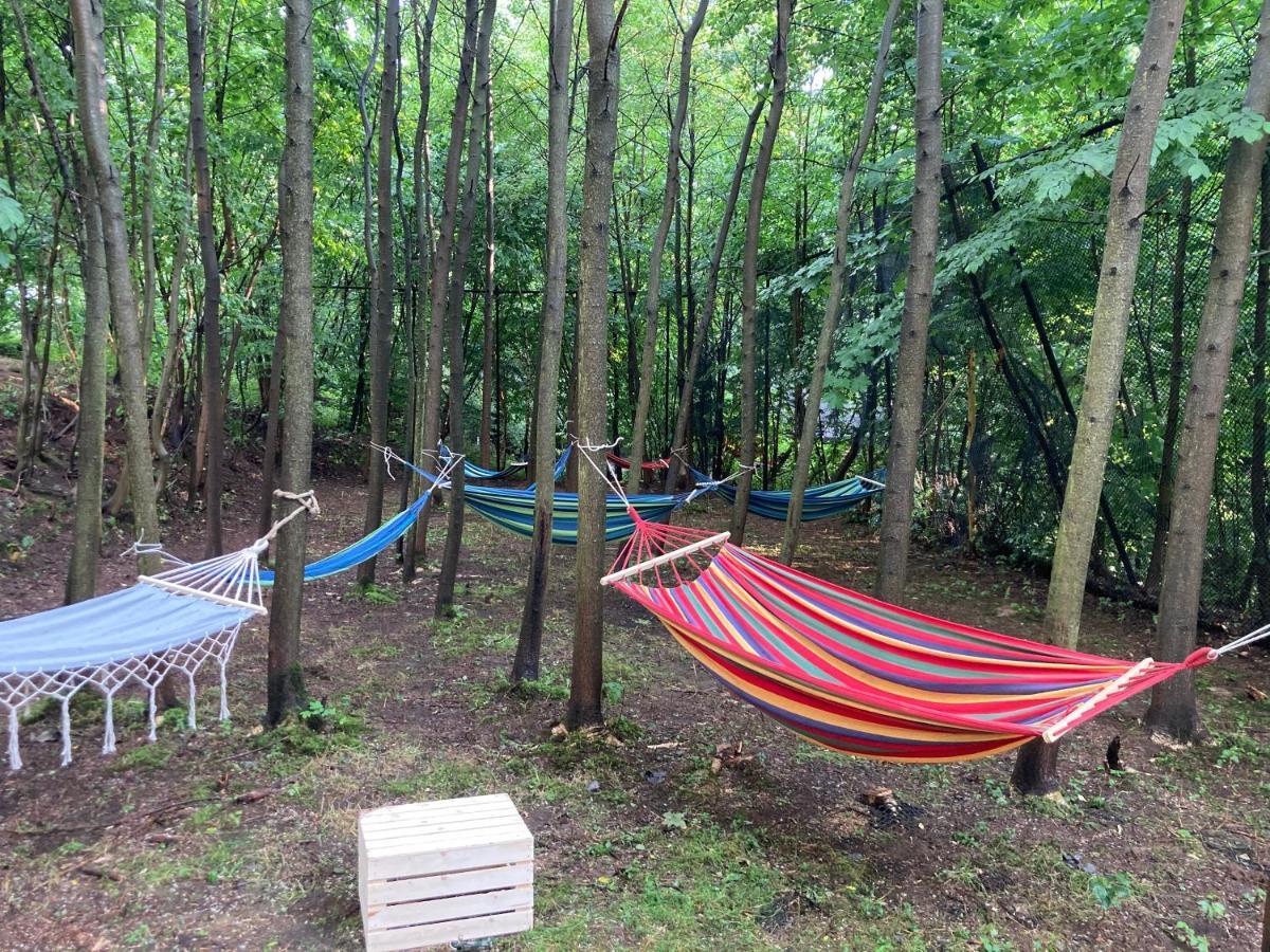 Glampspace - Szlak Beskidzki Hotel Miedzybrodzie Bialskie Bagian luar foto